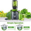 Extracteur de jus à pression 300 W